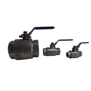 Válvula de Bola 2 Cuerpos Inoxidable 6000 WOG