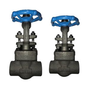 Válvula de Compuerta A-105 Socket Weld