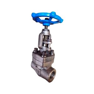 Válvula de Compuerta Inoxidable NPT ANSI 800