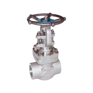 Válvula de Compuerta Inoxidable Socket Weld ANSI 800