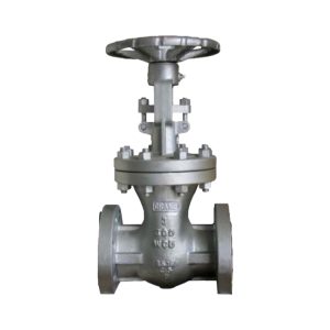 Válvula de Compuerta OS&Y WCB A-216 ANSI Clase 300