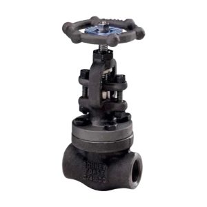 Válvula de Globo Paso Recta A-105 NPT