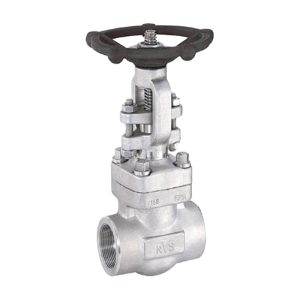 Válvula de Globo Paso Recta Inoxidable NPT