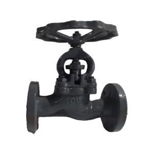 Válvula de Globo Swing Check WCB A-216 ANSI 150