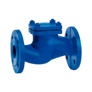 Válvula de Retención Swing Check Norma DIN PN-16